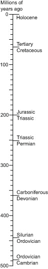 Extinction timescale
