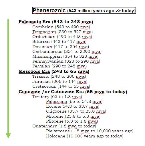Phanerozoic divisions