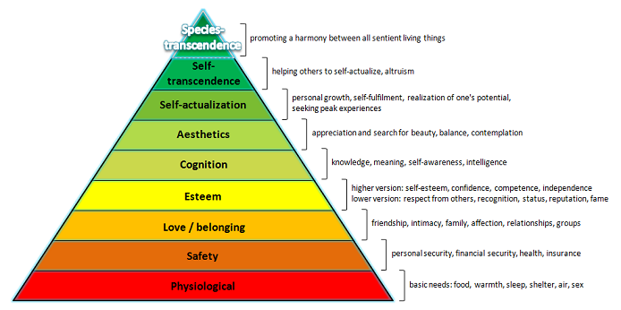 Maslow's Pyramid with 9 levels